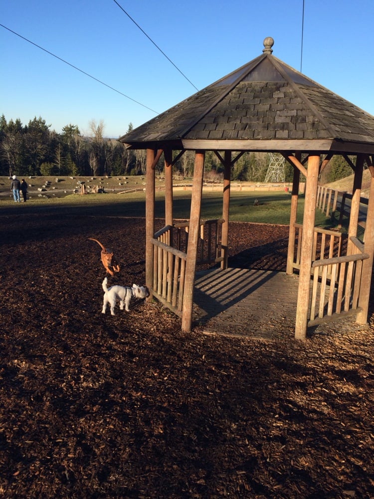Issaquah Highland Bark Park Dog Parks Issaquah, WA Reviews