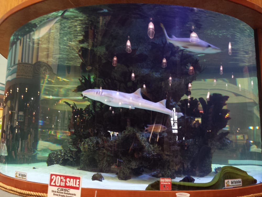 Cocoa Beach Surf Company 13 Photos Surfing Cocoa Beach, FL