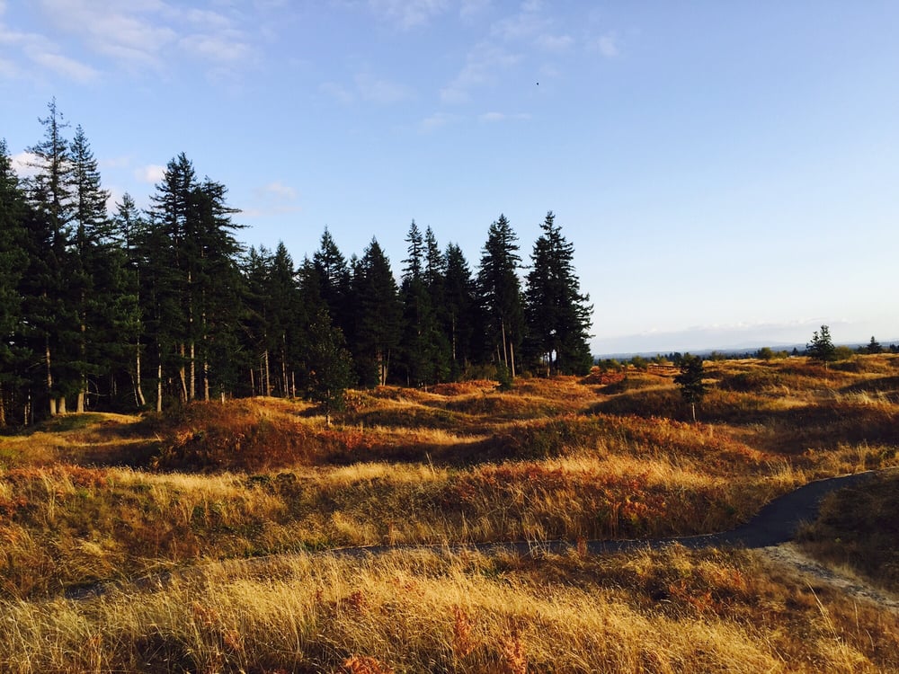 Mima Mounds Natural Area Preserve 28 Photos Hiking Waddell Creek