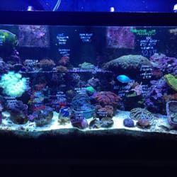 rick s fish pet supply pet stores 1003 w patrick st rick s fish pet supply pet stores 1003 w patrick st