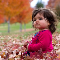 Jessica Marie Photography logo