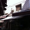 Reşat Balık Market