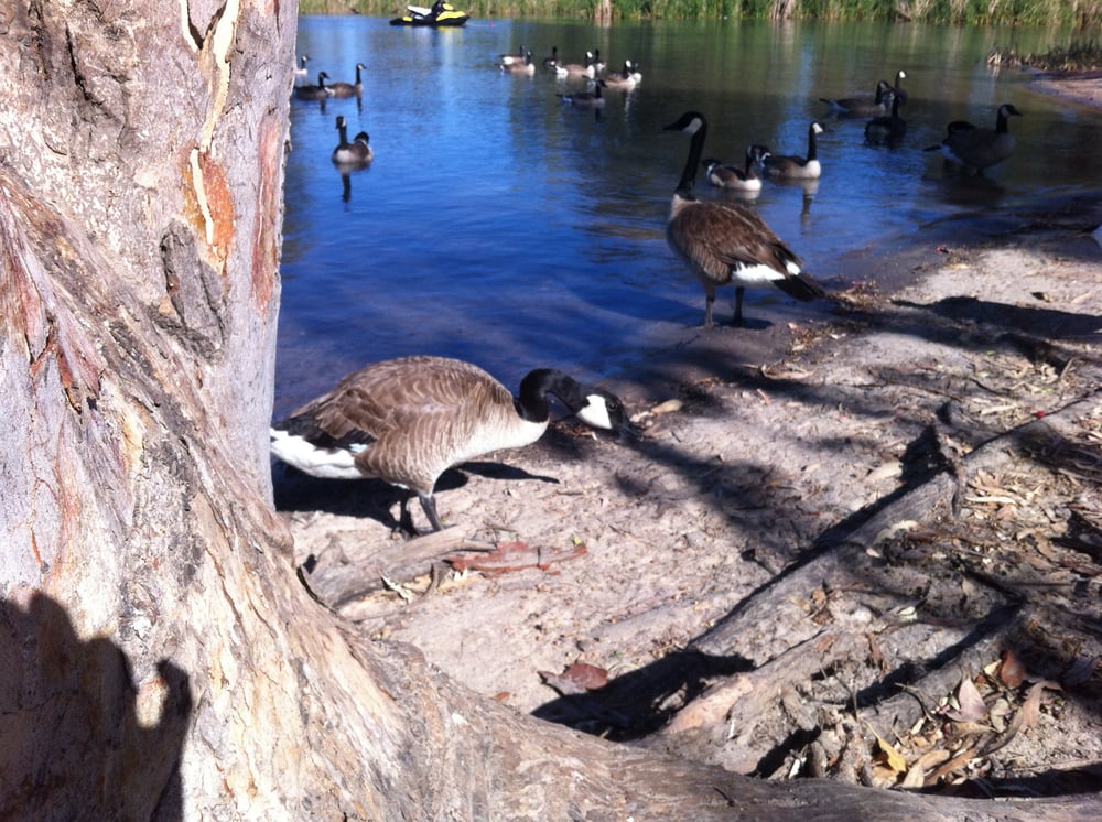 Woodward Reservoir 71 Photos Active Life Oakdale, CA Reviews Yelp