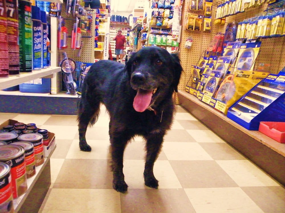 Burke Brothers Hardware Raleigh, NC Yelp