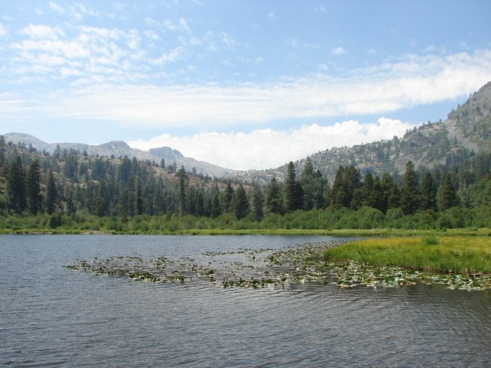 Lily Pond Lake Lakes South Lake Tahoe, CA Yelp