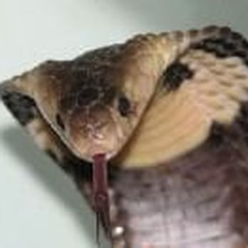 Animal world and snake farm zoo coupons