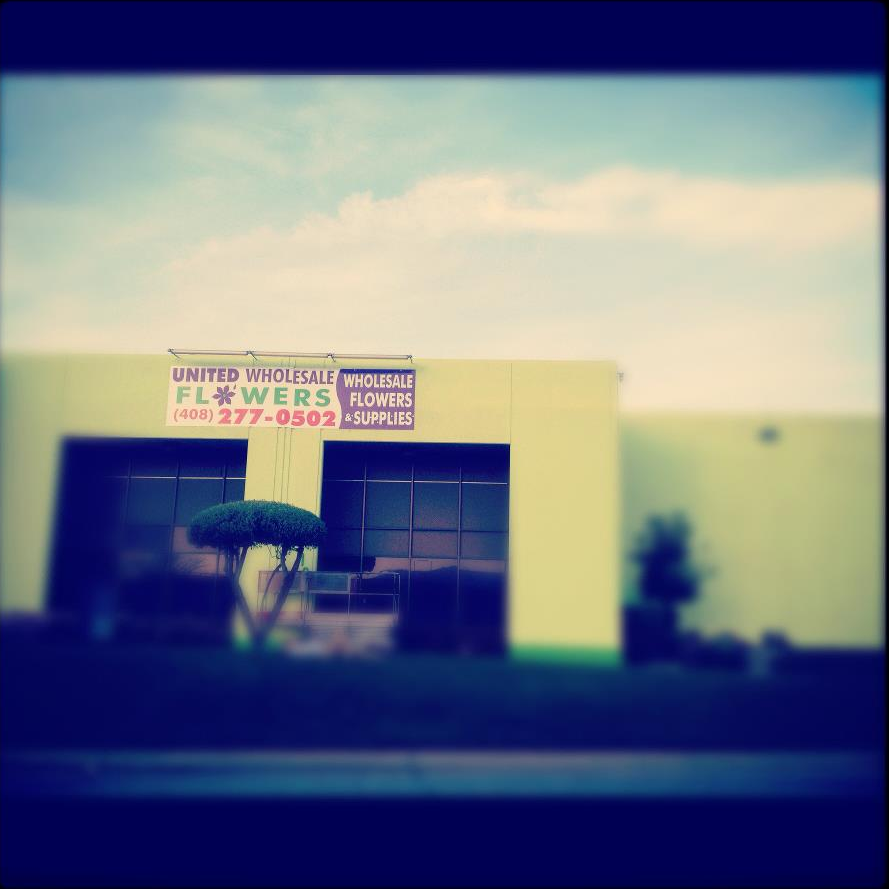 United Wholesale Flowers Wholesale Stores San Jose, CA Yelp