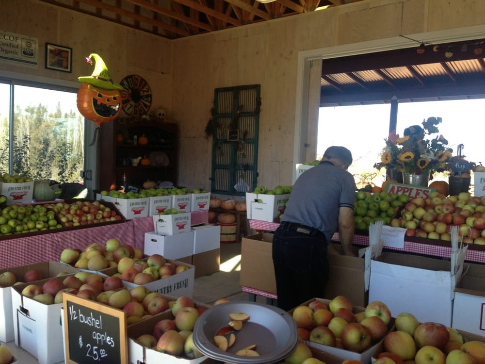 Clearview Orchards Temp. CLOSED Farmers Market Watsonville, CA