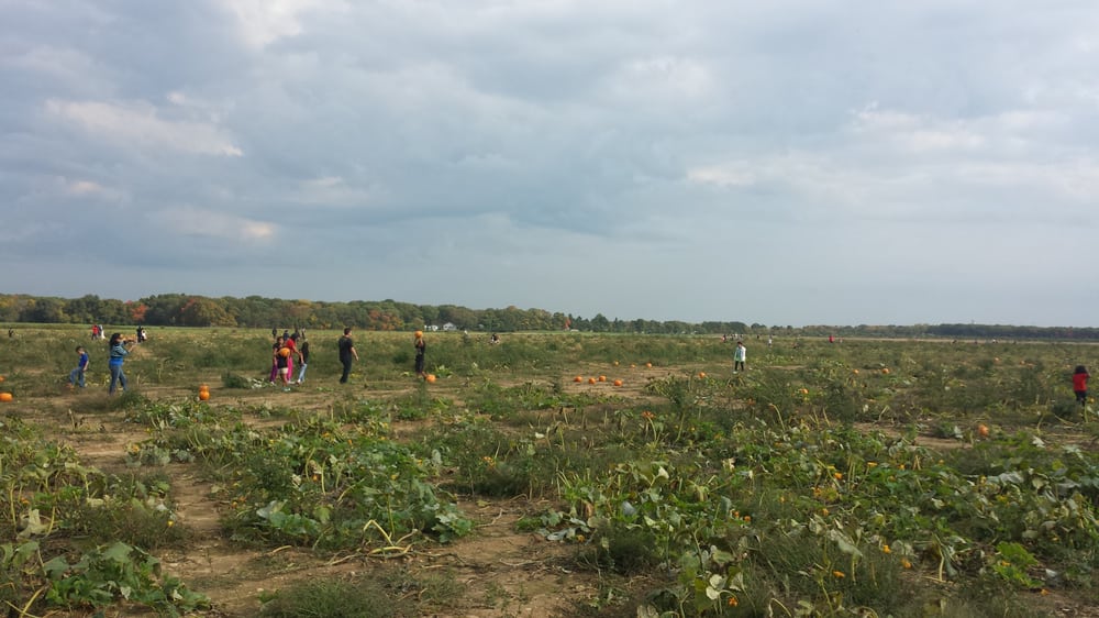 Lewin Farms 87 Photos Fruits & Veggies Wading River, NY Reviews