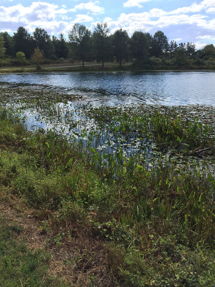 Lake Artemesia Natural Area 34 Photos Hiking Berwyn Rd Berwyn