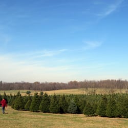 moose apple christmas tree farm berryville va yelp moose apple christmas tree farm berryville va yelp
