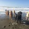 Doggie Adventures - Off Leash Beach Trips & Hikes