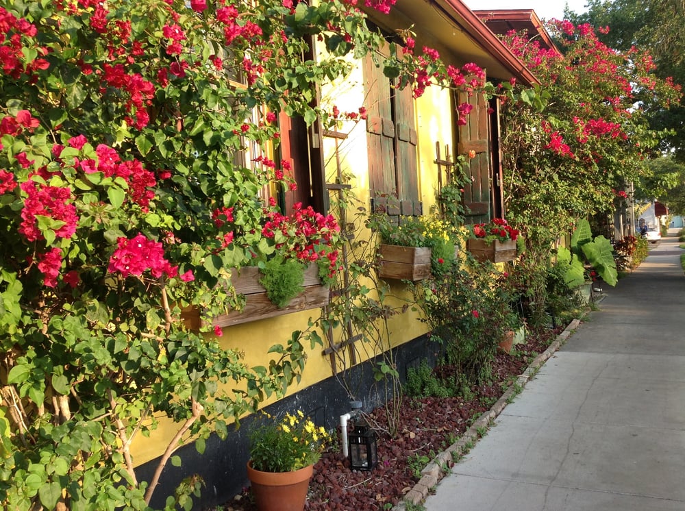 Pia’s Trattoria Italian Gulfport Gulfport, FL Reviews Photos Menu Yelp