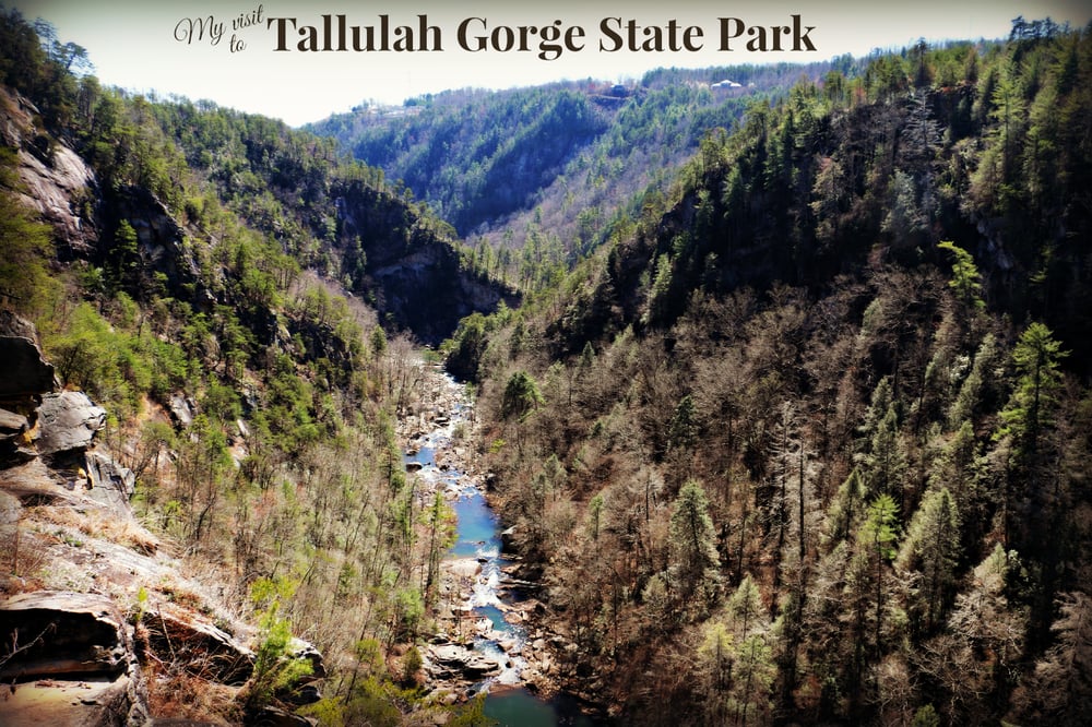 Overlook BBQ 35 Photos Barbeque Tallulah Falls, GA Reviews Yelp