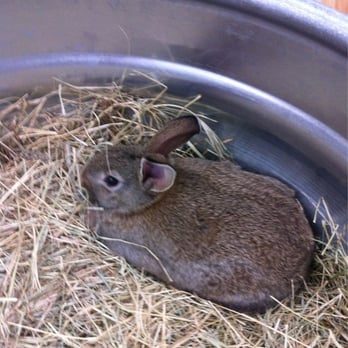   General Store   Hardware Stores   Austin, TX   Reviews   Photos   Yelp  hardware store austin