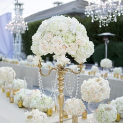 Moments By Wayne Gurnick logo