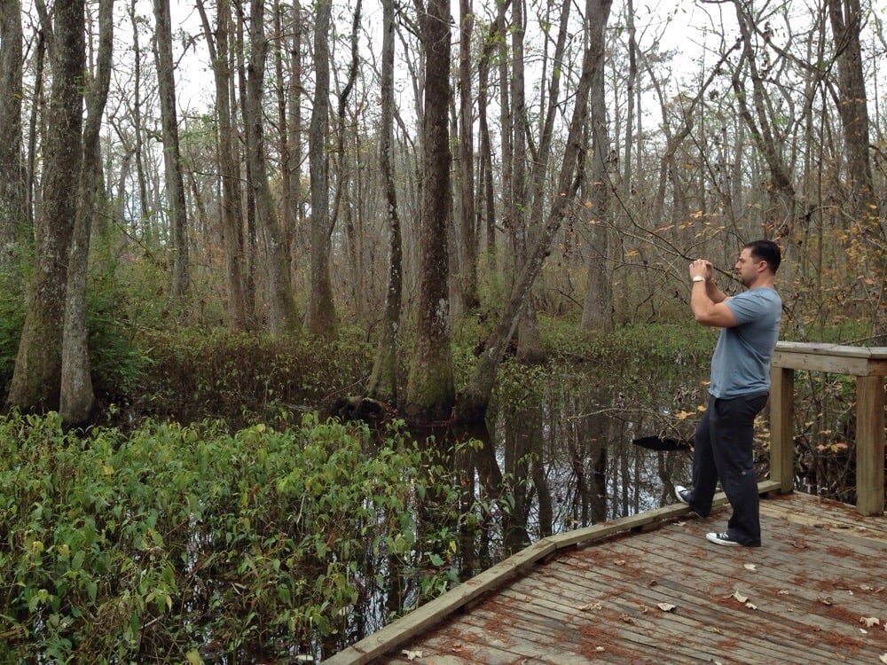Brec Bluebonnet Swamp Nature Center Brec Bluebonnet Swamp Nature Center