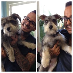 Santa Monica Pet Project