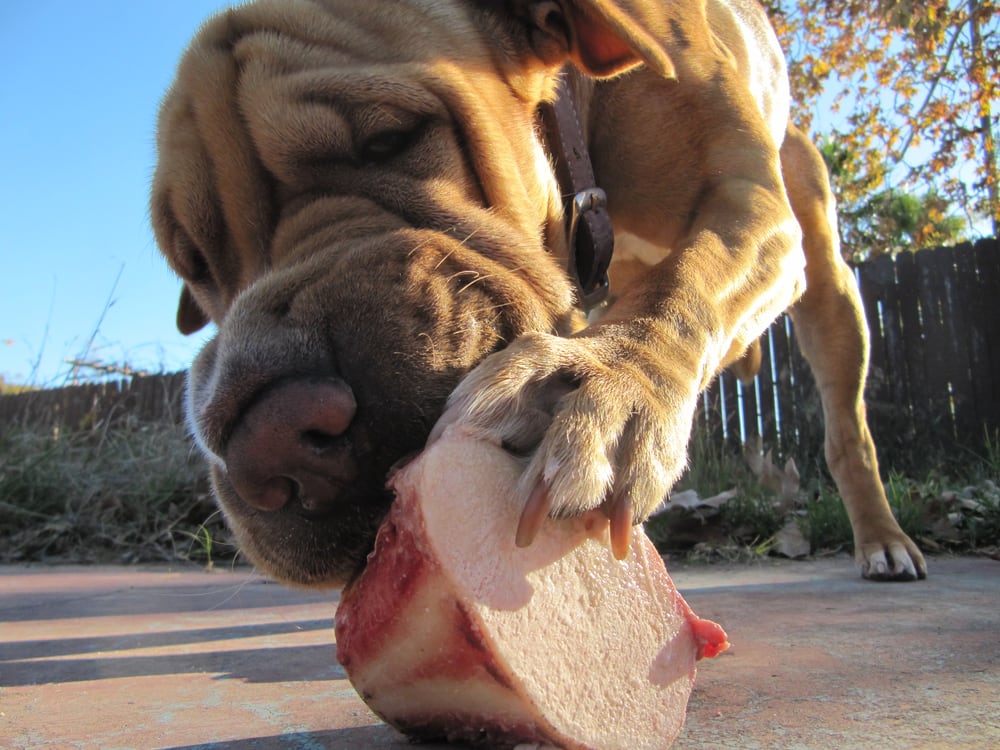 Siesel S Old Fashioned Meats Siesel S Old Fashioned Meats