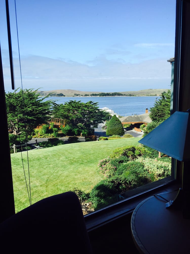 bodega bay single guys Personal ads for bodega bay, ca are a great way to find a life partner, movie date, or a quick hookup personals are for people local to bodega bay, ca and are for ages 18+ of either sex find someone who is right for you. bodega bay single guys Personal ads for bodega bay, ca are a great way to find a life partner, movie date, or a quick hookup personals are for people local to bodega bay, ca and are for ages 18+ of either sex find someone who is right for you.
