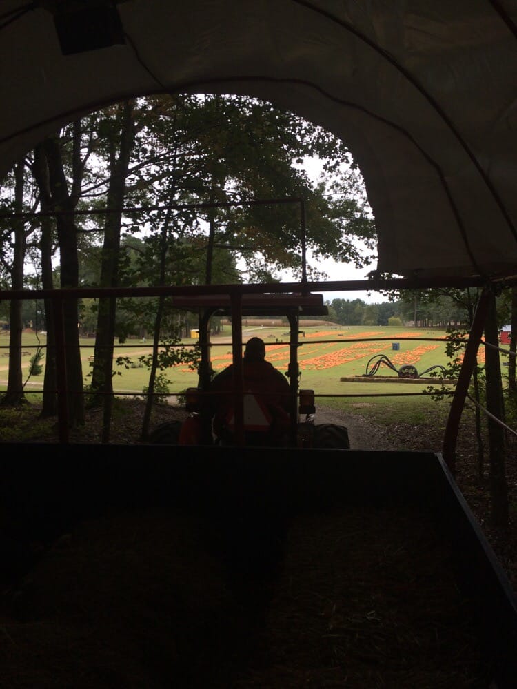 Hill Ridge Farms Venues & Event Spaces Youngsville, NC Reviews