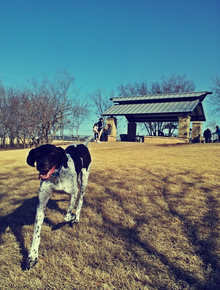 Frisco Dog Park Dog Parks Frisco, TX Reviews Photos Yelp