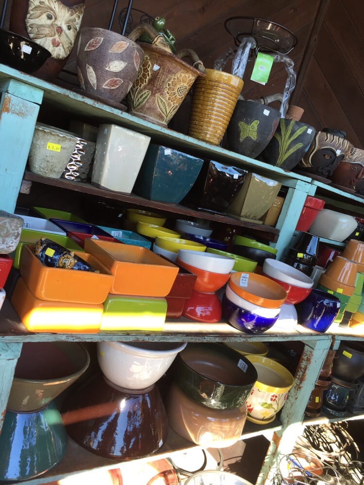 Sunset Nursery 50 Photos Nurseries & Gardening East Hollywood