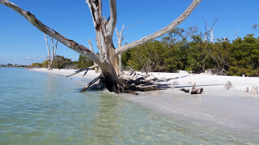 Lover’s Key State Recreation Area 65 Photos Beaches 8700 Estero