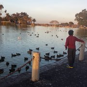 Boy @ the Duck Pond