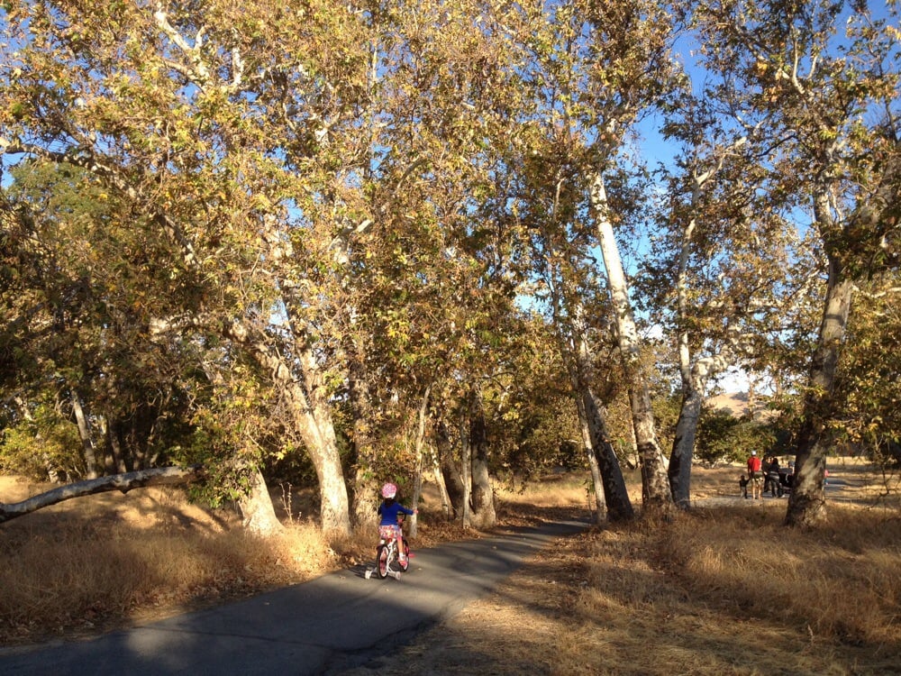 Sycamore Grove Park 65 Photos Parks 1051 Wetmore Rd Livermore
