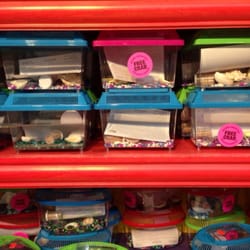 Souvenir City - 20 Photos - Gift Shops - 217 Gulf Shores Pkwy - Gulf