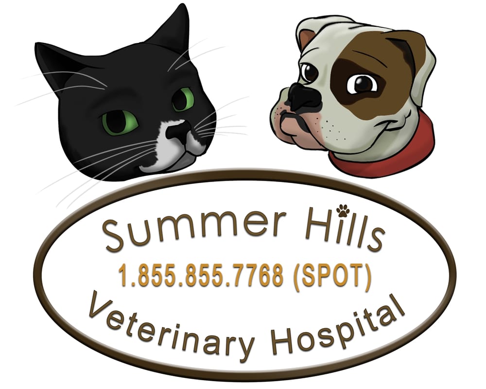 Summer Hills Veterinary Hospital 13 Photos Veterinarians 7912