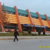Ankara Üniversitesi Olimpik Yüzme Havuzu