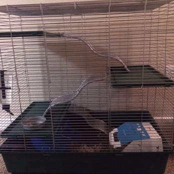 Bridges Pets Gifts & Water Gardens - 18 Photos - Pet ...