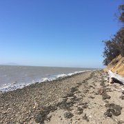 Point Pinole Regional Shoreline Parks Richmond, CA Reviews