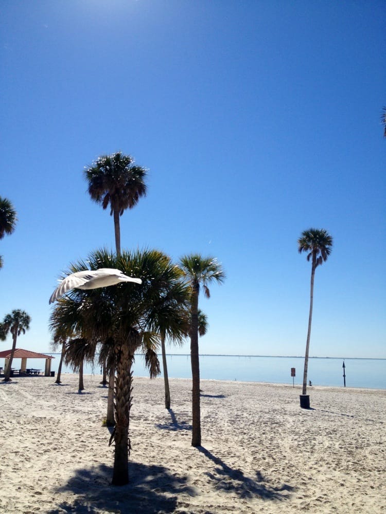 Seascapes Beach Club Seafood MacDill AFB Tampa, FL Reviews