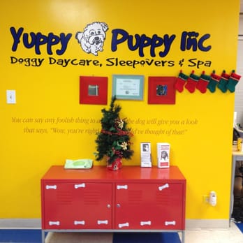 yuppy puppy lake bluff yuppy puppy 10 photos kennels pet sitting lake bluff il united states yuppy puppy lake bluff yuppy puppy 10 photos kennels pet sitting lake bluff il united states