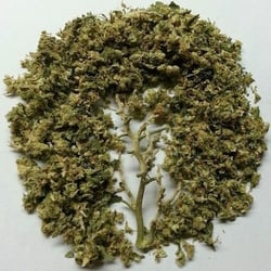 Mary Janes's Collective logo