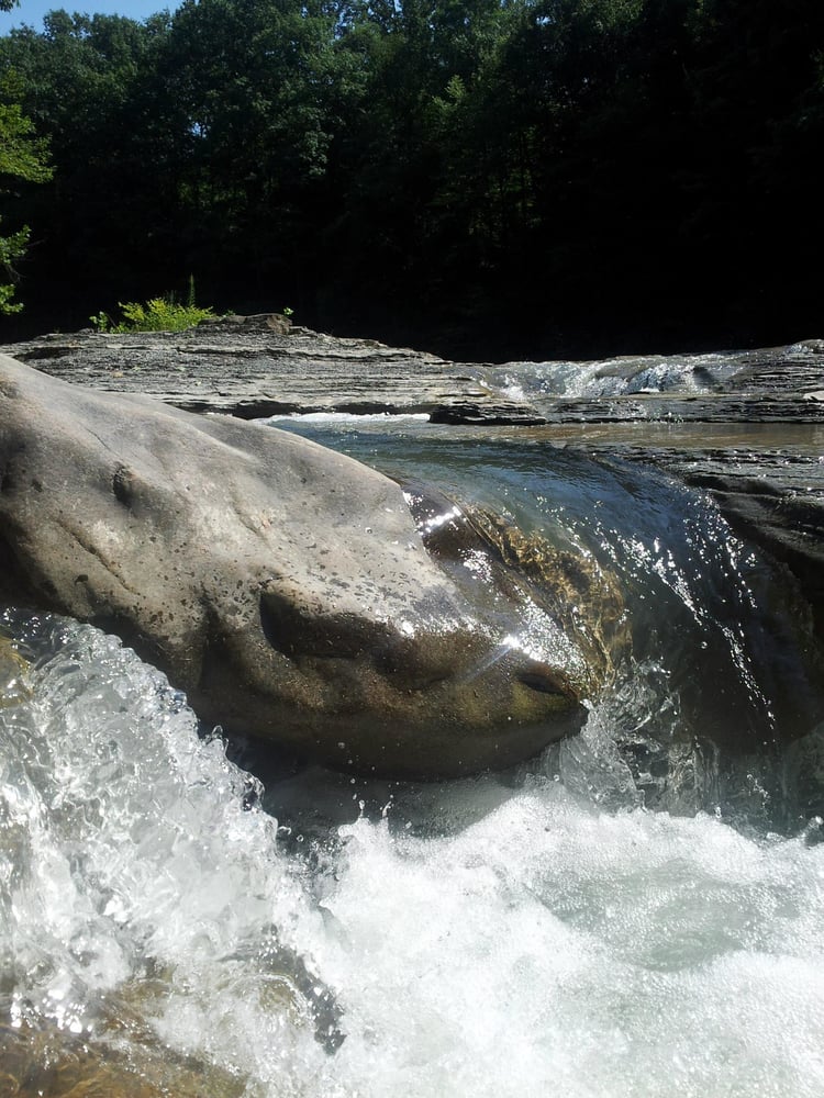Zoar Valley 18 Photos Parks Gowanda, NY Reviews Yelp