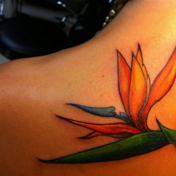 South Seas Tattoo Company Deerfield Beach Fl South Seas Tattoo Company Deerfield Beach Fl