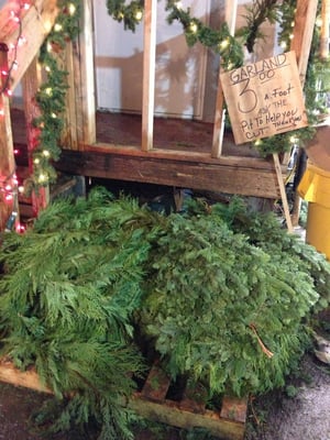 delancey street christmas tree lot duboce triangle san delancey street christmas tree lot duboce triangle san