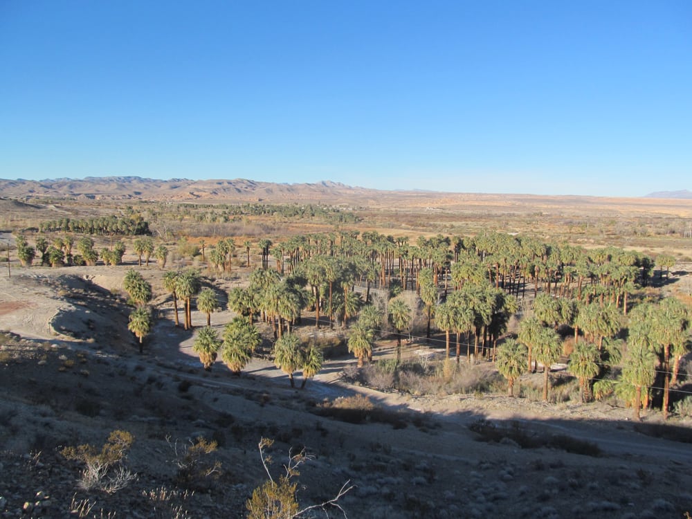 Moapa Valley National Wildlife Refuge 19 Photos Hiking Moapa, NV