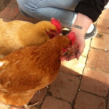 Christy Webber Farm & Garden Center - 37 Photos & 55 Reviews