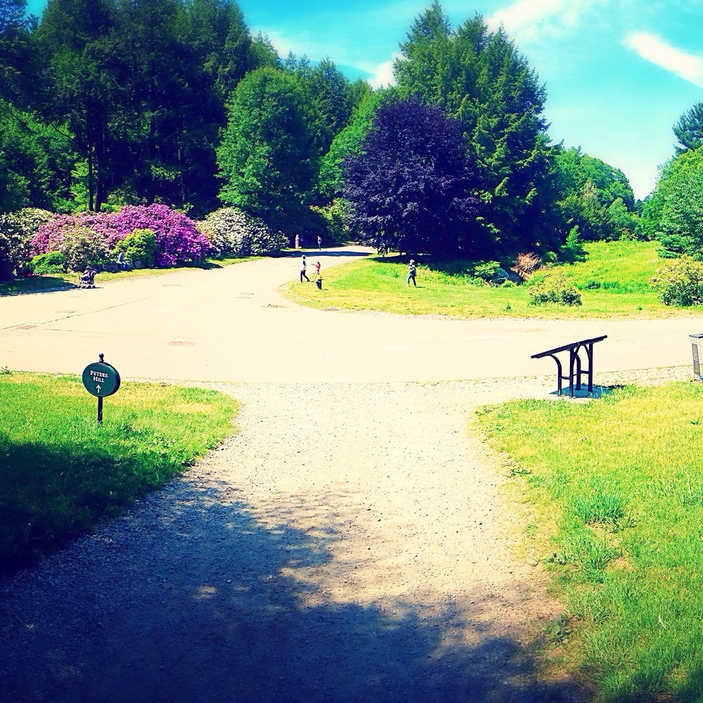 Arnold Arboretum 230 Photos Parks 125 Arborway Jamaica Plain