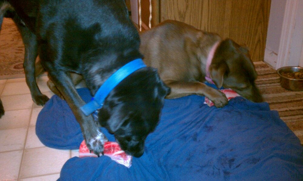 Polly’s Country Market Bakeries Chelsea, MI Reviews Photos Yelp