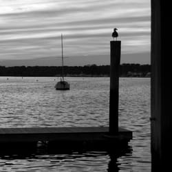 Great Kills Park 73 Photos Parks Staten Island, NY Reviews Yelp