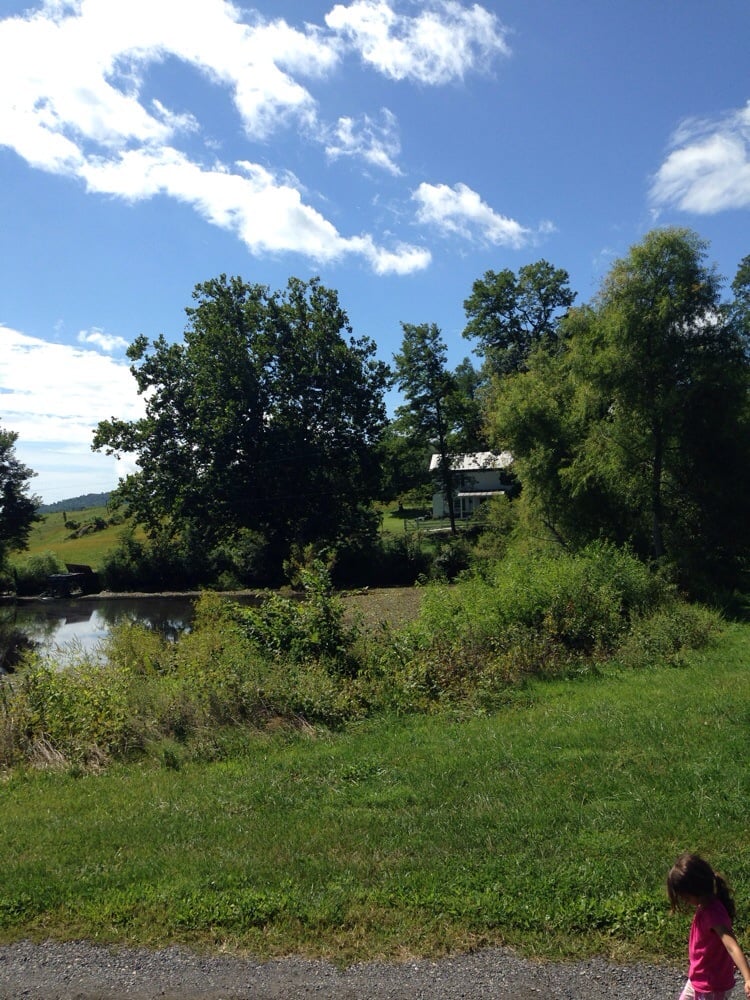 Hartland Orchard Fruits & Veggies Markham, VA Reviews Photos Yelp