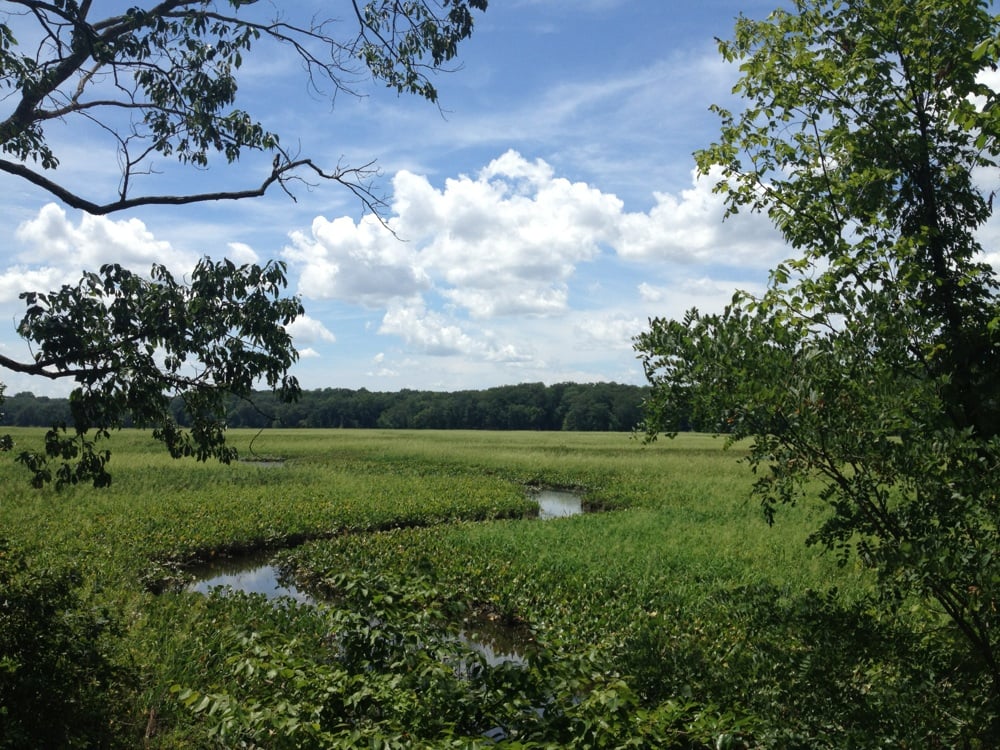 Mason Neck National Wildlife Refuge Parks Woodbridge, VA Reviews