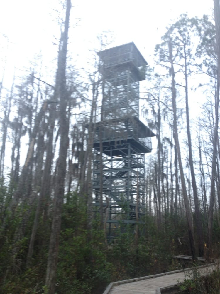 Okefenokee Swamp Park Parks Waycross, GA Reviews Photos Yelp