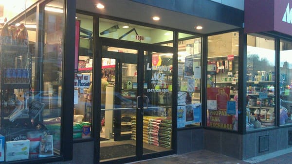 Lemoi Ace Hardware - Yelp